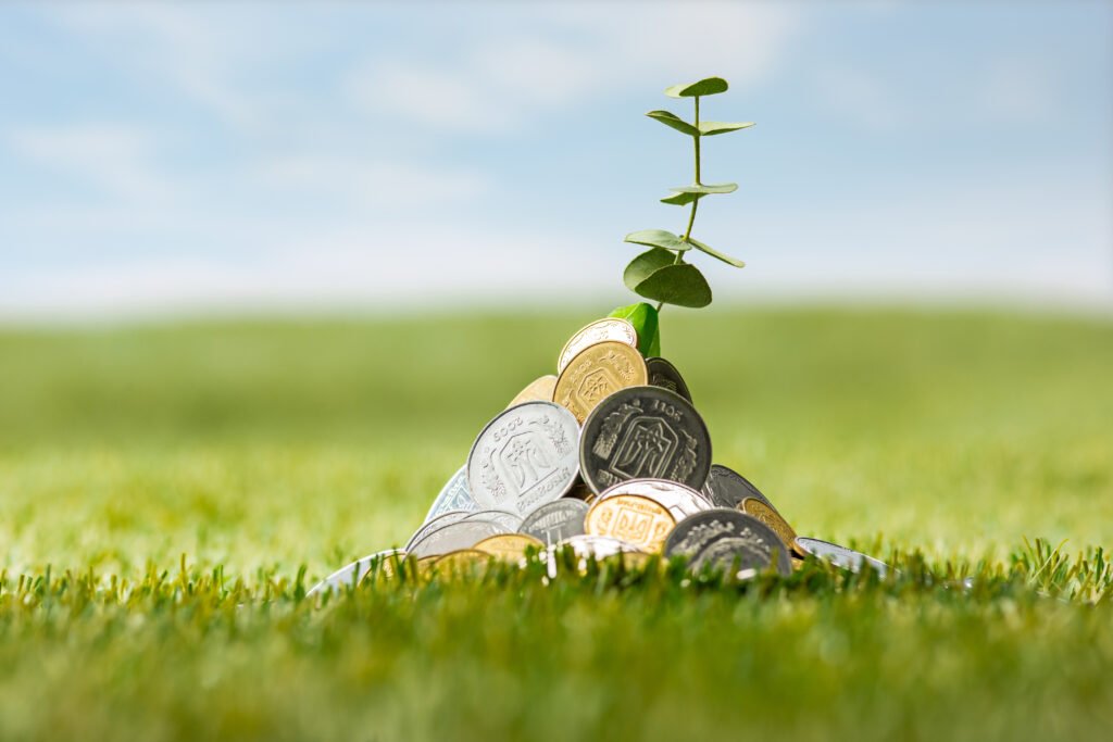 Ethical Investing: Making Money While Making a Difference